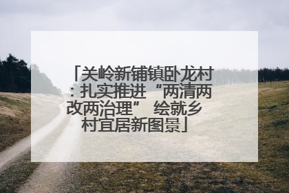 关岭新铺镇卧龙村：扎实推进“两清两改两治理” 绘就乡村宜居新图景