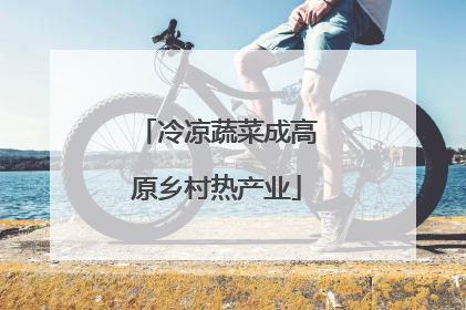 冷凉蔬菜成高原乡村热产业