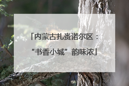 内蒙古扎赉诺尔区：“书香小城”韵味浓