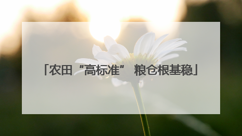 农田“高标准” 粮仓根基稳