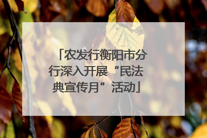 农发行衡阳市分行深入开展“民法典宣传月”活动