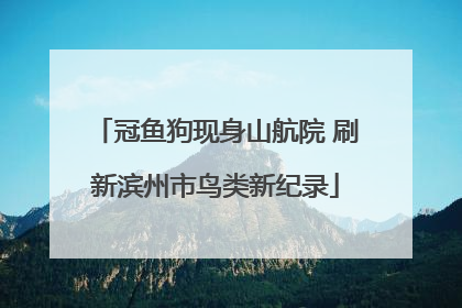 冠鱼狗现身山航院 刷新滨州市鸟类新纪录
