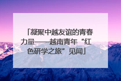 凝聚中越友谊的青春力量——越南青年“红色研学之旅”见闻