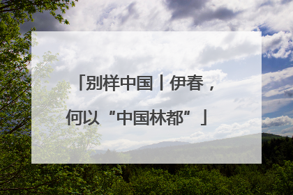 别样中国丨伊春，何以“中国林都”