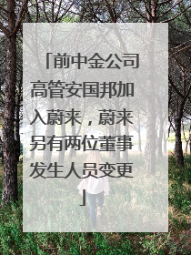 前中金公司高管安国邦加入蔚来，蔚来另有两位董事发生人员变更