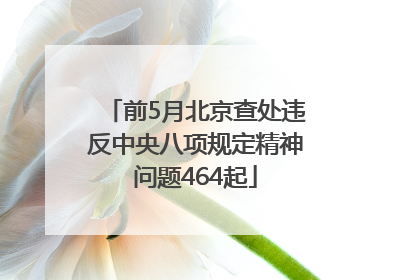 前5月北京查处违反中央八项规定精神问题464起