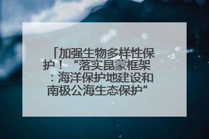 加强生物多样性保护！“落实昆蒙框架：海洋保护地建设和南极公海生态保护”主题论坛将举办