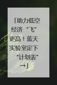助力低空经济“飞”更高！蓝天实验室定下“计划表”→