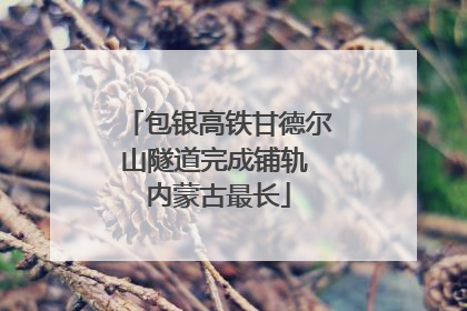 包银高铁甘德尔山隧道完成铺轨 内蒙古最长