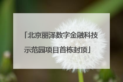 北京丽泽数字金融科技示范园项目首栋封顶