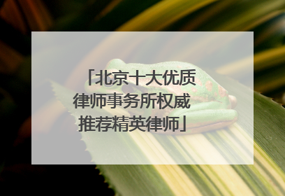 北京十大优质律师事务所权威推荐精英律师