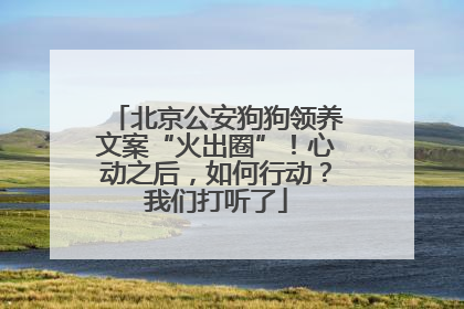北京公安狗狗领养文案“火出圈”！心动之后，如何行动？我们打听了