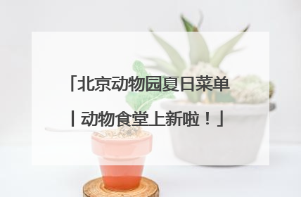 北京动物园夏日菜单丨动物食堂上新啦！