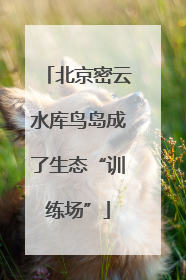 北京密云水库鸟岛成了生态“训练场”
