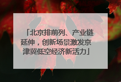 北京排前列、产业链延伸，创新场景激发京津冀低空经济新活力