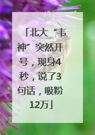 北大“韦神”突然开号，现身4秒，说了3句话，吸粉12万