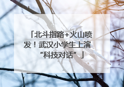 北斗指路+火山喷发！武汉小学生上演“科技对话”