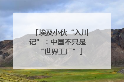 埃及小伙“入川记”：中国不只是“世界工厂”