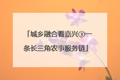 城乡融合看嘉兴③一条长三角农事服务链