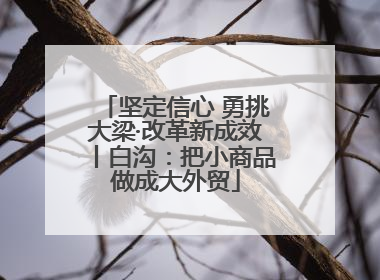 坚定信心 勇挑大梁·改革新成效丨白沟：把小商品做成大外贸