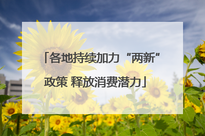 各地持续加力“两新”政策 释放消费潜力