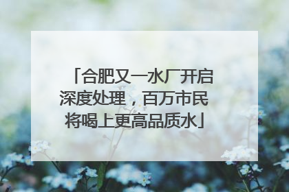 合肥又一水厂开启深度处理，百万市民将喝上更高品质水