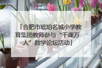 合肥市琥珀名城小学教育集团教师参与“千课万人”数学论坛活动