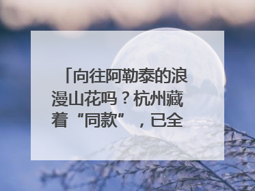 向往阿勒泰的浪漫山花吗？杭州藏着“同款”，已全面进入盛花期