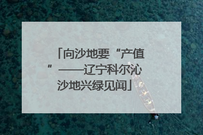 向沙地要“产值”——辽宁科尔沁沙地兴绿见闻