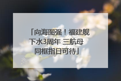 向海图强！福建舰下水3周年 三航母同框指日可待