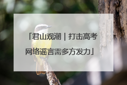 君山观潮｜打击高考网络谣言需多方发力