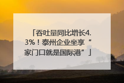 吞吐量同比增长4.3%！泰州企业坐享“家门口就是国际港”