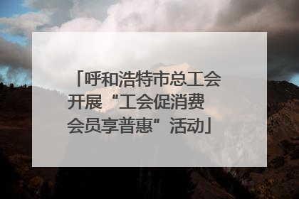 呼和浩特市总工会开展“工会促消费 会员享普惠”活动