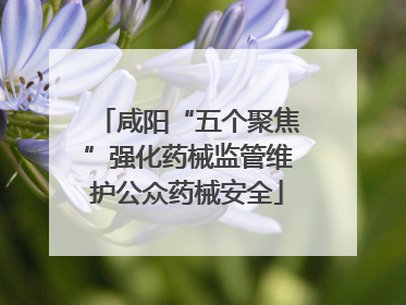 咸阳“五个聚焦”强化药械监管维护公众药械安全