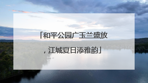 和平公园广玉兰盛放，江城夏日添雅韵