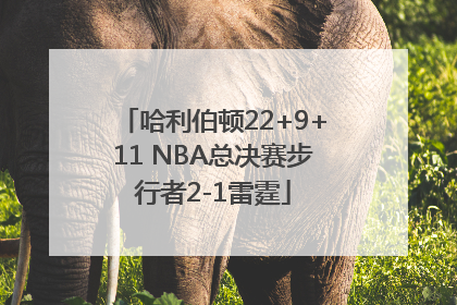 哈利伯顿22+9+11 NBA总决赛步行者2-1雷霆