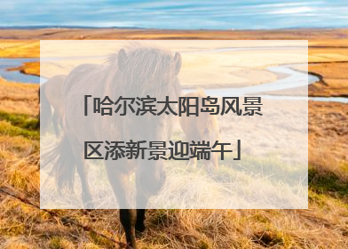 哈尔滨太阳岛风景区添新景迎端午