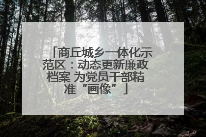 商丘城乡一体化示范区：动态更新廉政档案 为党员干部精准“画像”