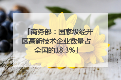 商务部：国家级经开区高新技术企业数量占全国的18.3%