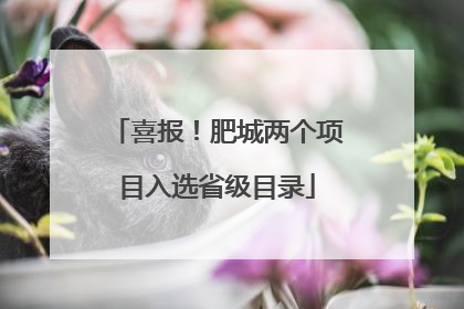 喜报！肥城两个项目入选省级目录