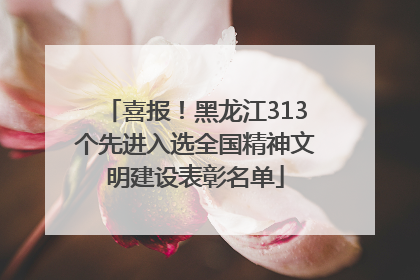 喜报！黑龙江313个先进入选全国精神文明建设表彰名单