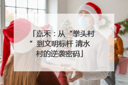 嘉禾：从“拳头村”到文明标杆 清水村的逆袭密码