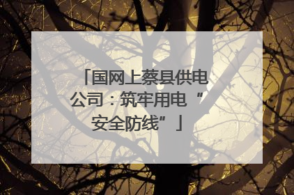 国网上蔡县供电公司：筑牢用电“安全防线”