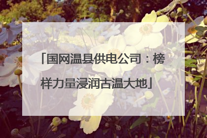 国网温县供电公司：榜样力量浸润古温大地