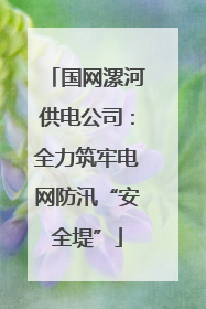 国网漯河供电公司：全力筑牢电网防汛“安全堤”