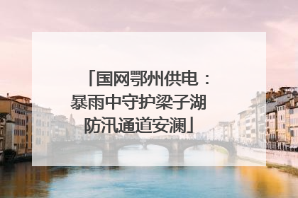 国网鄂州供电：暴雨中守护梁子湖防汛通道安澜