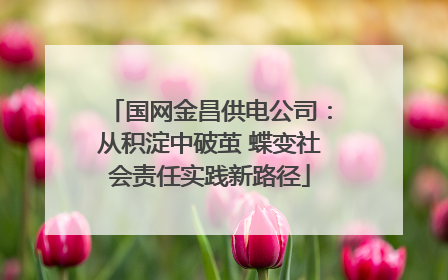 国网金昌供电公司：从积淀中破茧 蝶变社会责任实践新路径