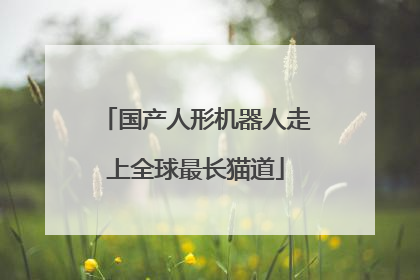 国产人形机器人走上全球最长猫道