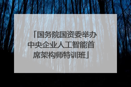 国务院国资委举办中央企业人工智能首席架构师特训班