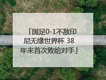 国足0-1不敌印尼无缘世界杯 38年来首次败给对手